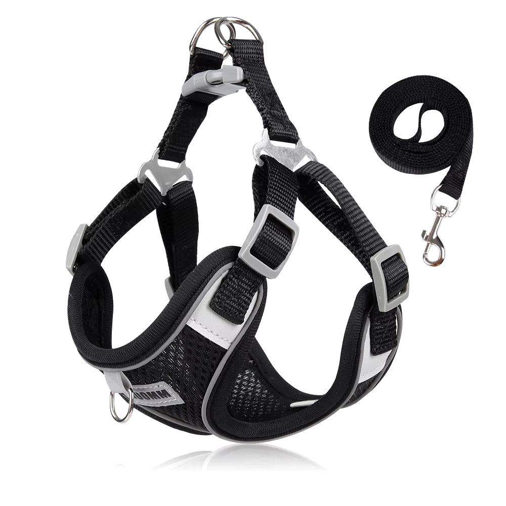 Comfortable and Reflective Dog Harness Leash Set for Small to Medium Dogs - Perfect for Outdoor Walks with Your Chihuahua or Cat!