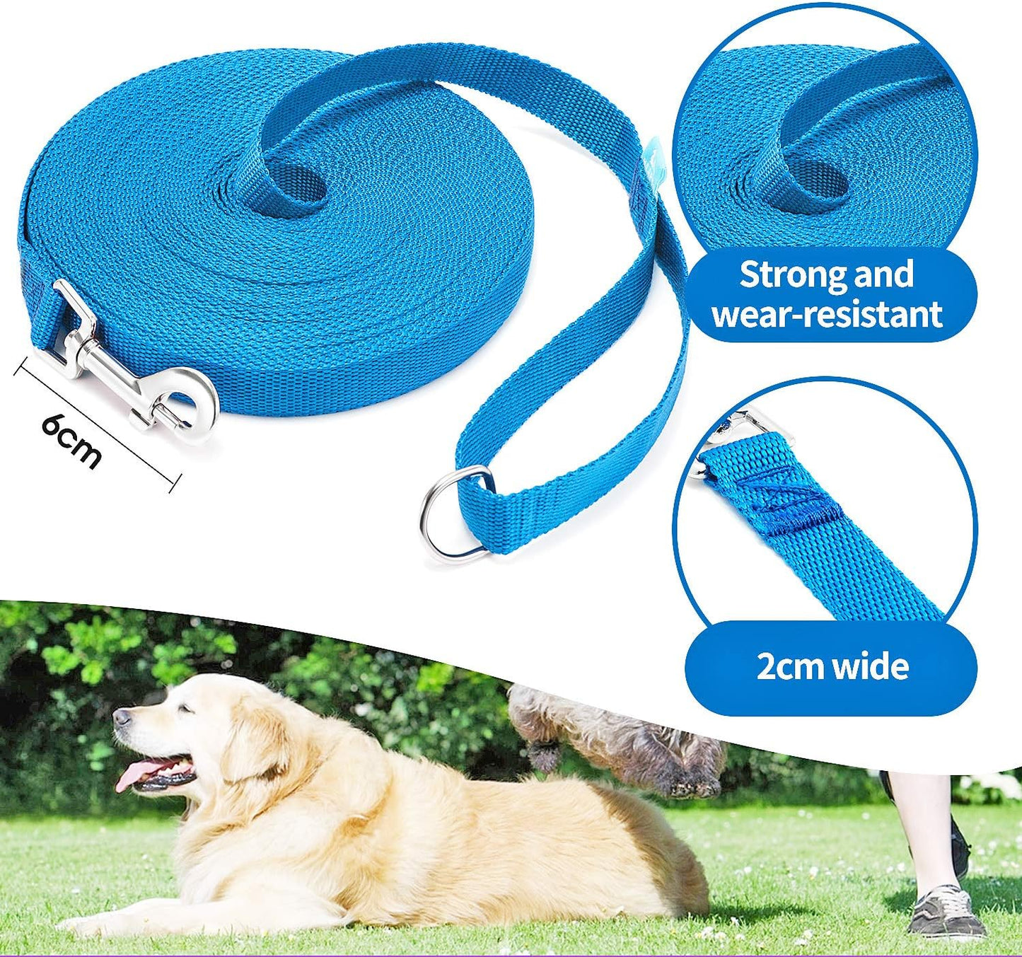 Unlock the Freedom to Train Your Dog with Our 50 Ft Versatile Leash & Clickers – Ideal for All Breeds in Bold Blue!