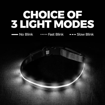 Illuminate Your Pup's Adventures: The Ultimate USB Rechargeable LED Dog Collar - Waterproof, 1,000 Feet Visibility for All Sizes of Dogs - USA Made!