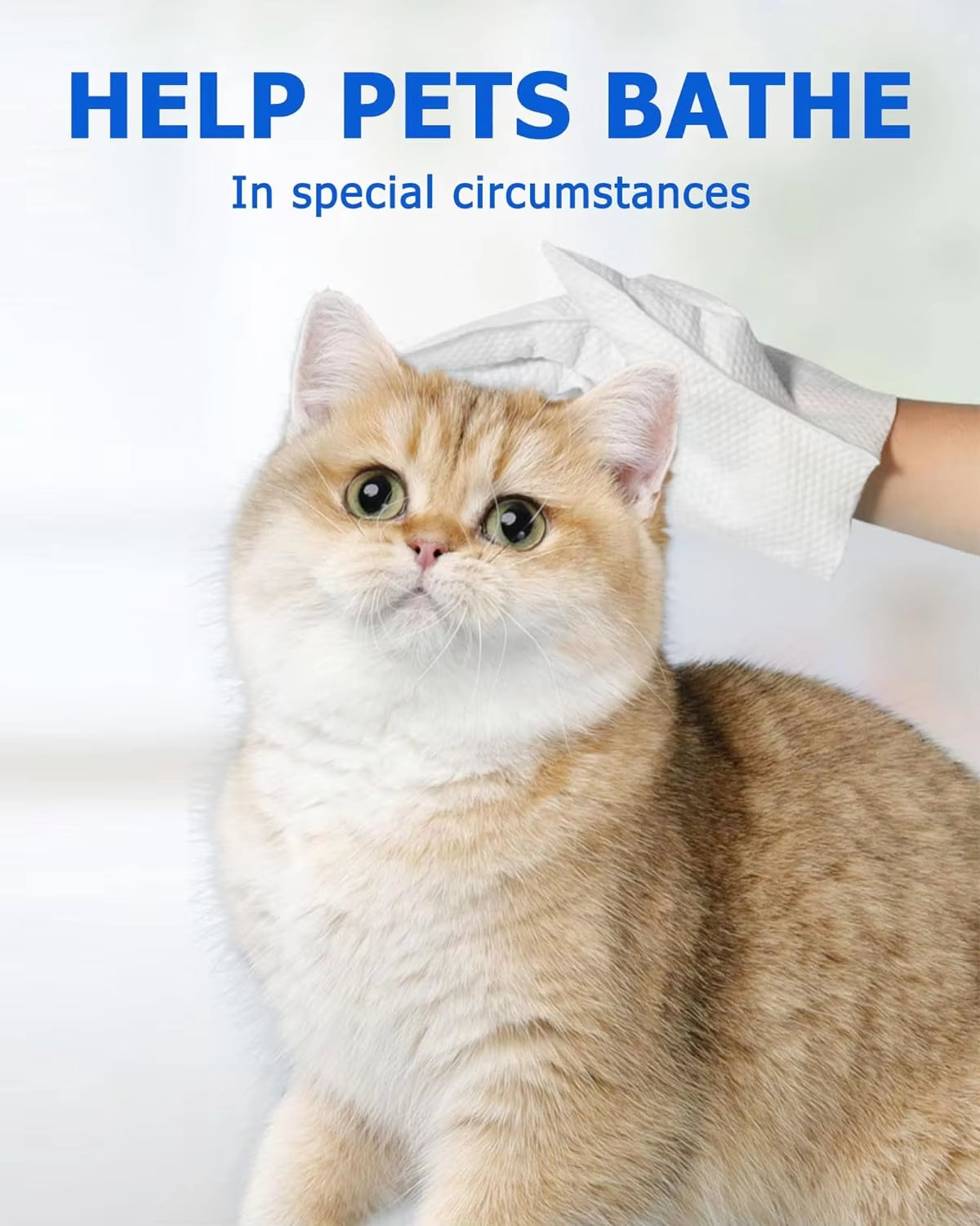Effortlessly Clean and Deodorize Your Pets with Our Cleaning Wipes Gloves for Dogs and Cats – Perfect for Daily Grooming and Hygiene