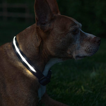 Illuminate Your Dog's Adventures: The Ultimate LED Dog Collar - USB Rechargeable, Waterproof, and 1,000 Feet of Visibility for All Breeds