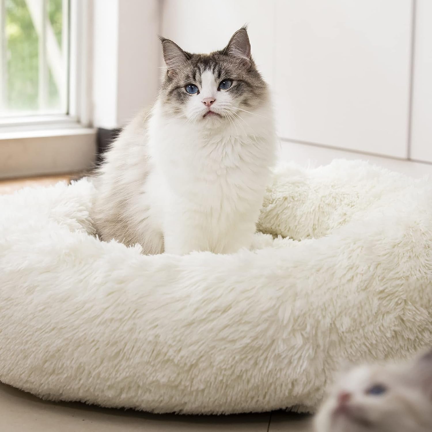 Cozy Anti-Anxiety Round Plush Faux Fur Dog and Cat Bed - Washable, Supportive, and Perfect for Small to Medium Pets (27", White)