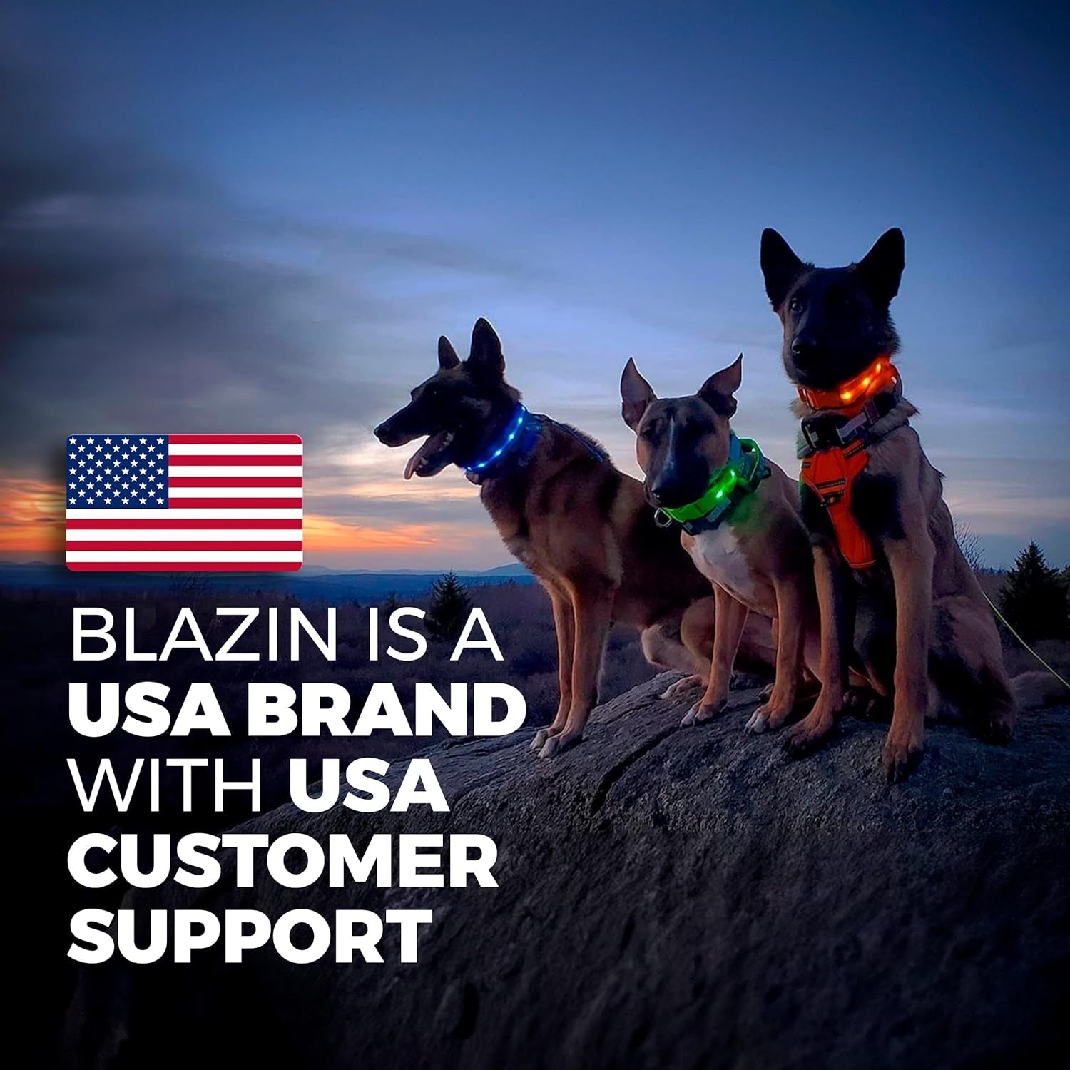 Illuminate Your Pup's Adventures: The Ultimate USB Rechargeable LED Dog Collar - Waterproof, 1,000 Feet Visibility for All Sizes of Dogs - USA Made!