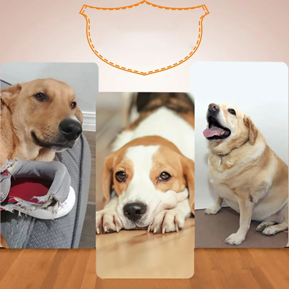 Ultimate Automatic Dog Ball Launcher - Three Exciting Distance Settings for Unmatched Playtime Fun! Perfect for Dogs and Cats!