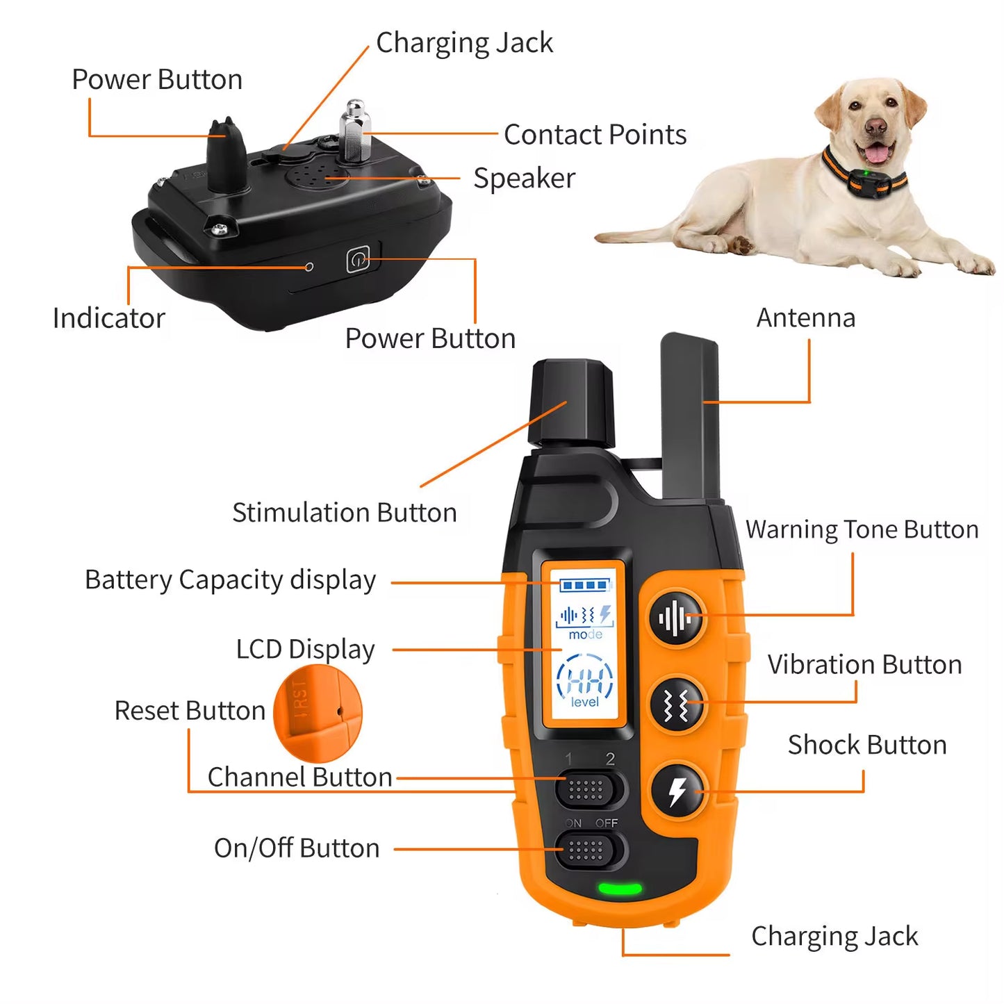 Train your pup like a pro with our waterproof electric dog training collar! Perfect for dogs 5-120lbs, featuring remote control, shock, and vibration options! 🐶✨