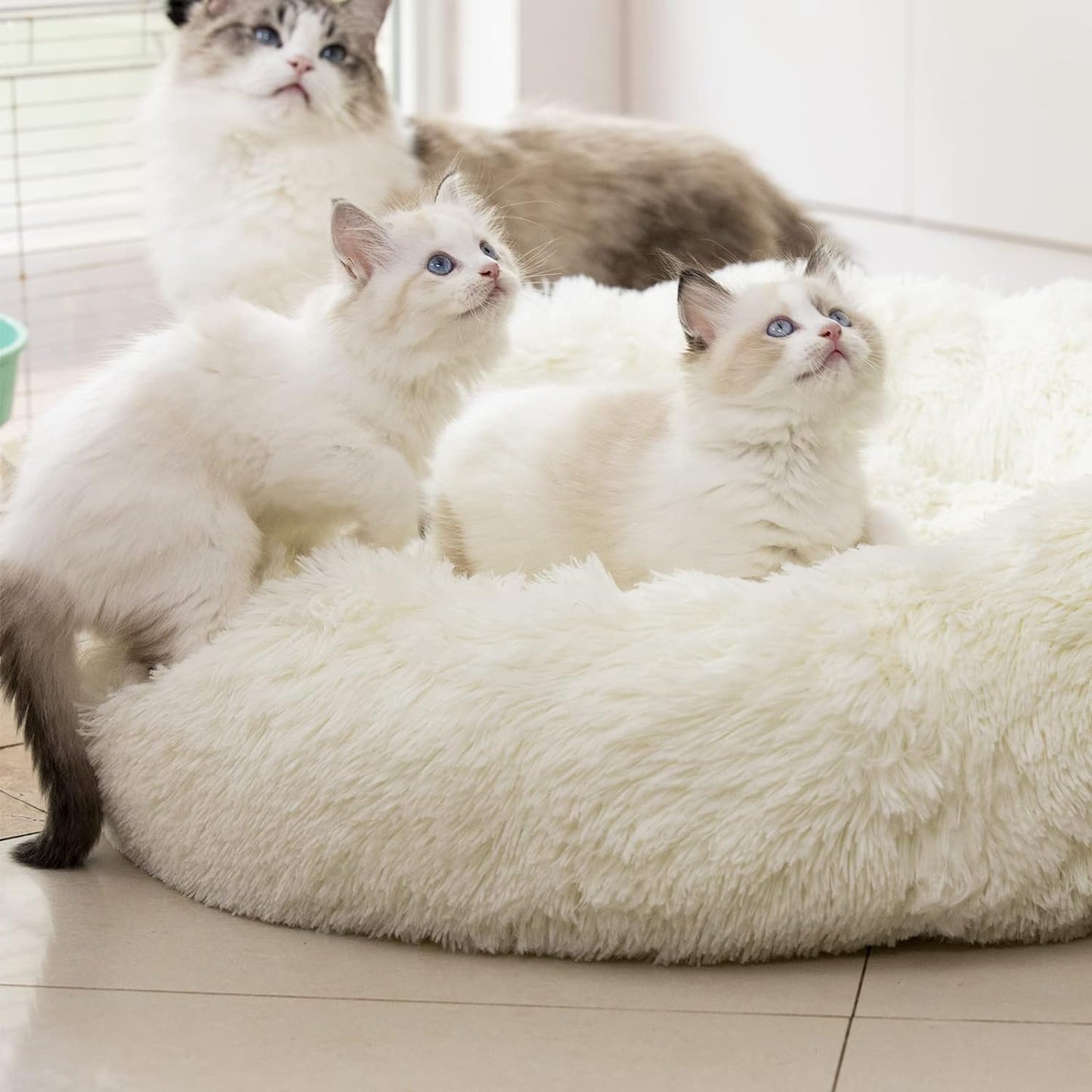 Cozy Anti-Anxiety Round Plush Faux Fur Dog and Cat Bed - Washable, Supportive, and Perfect for Small to Medium Pets (27", White)