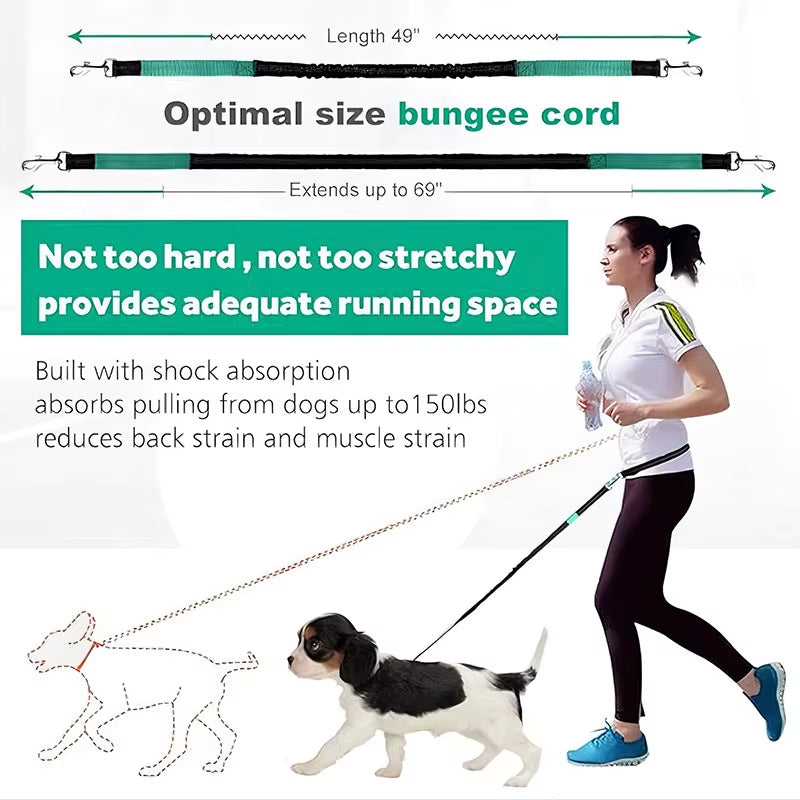 Hands-Free Adjustable Dog Leash: Perfect for Running, Jogging, and Walking with Your Furry Friend!