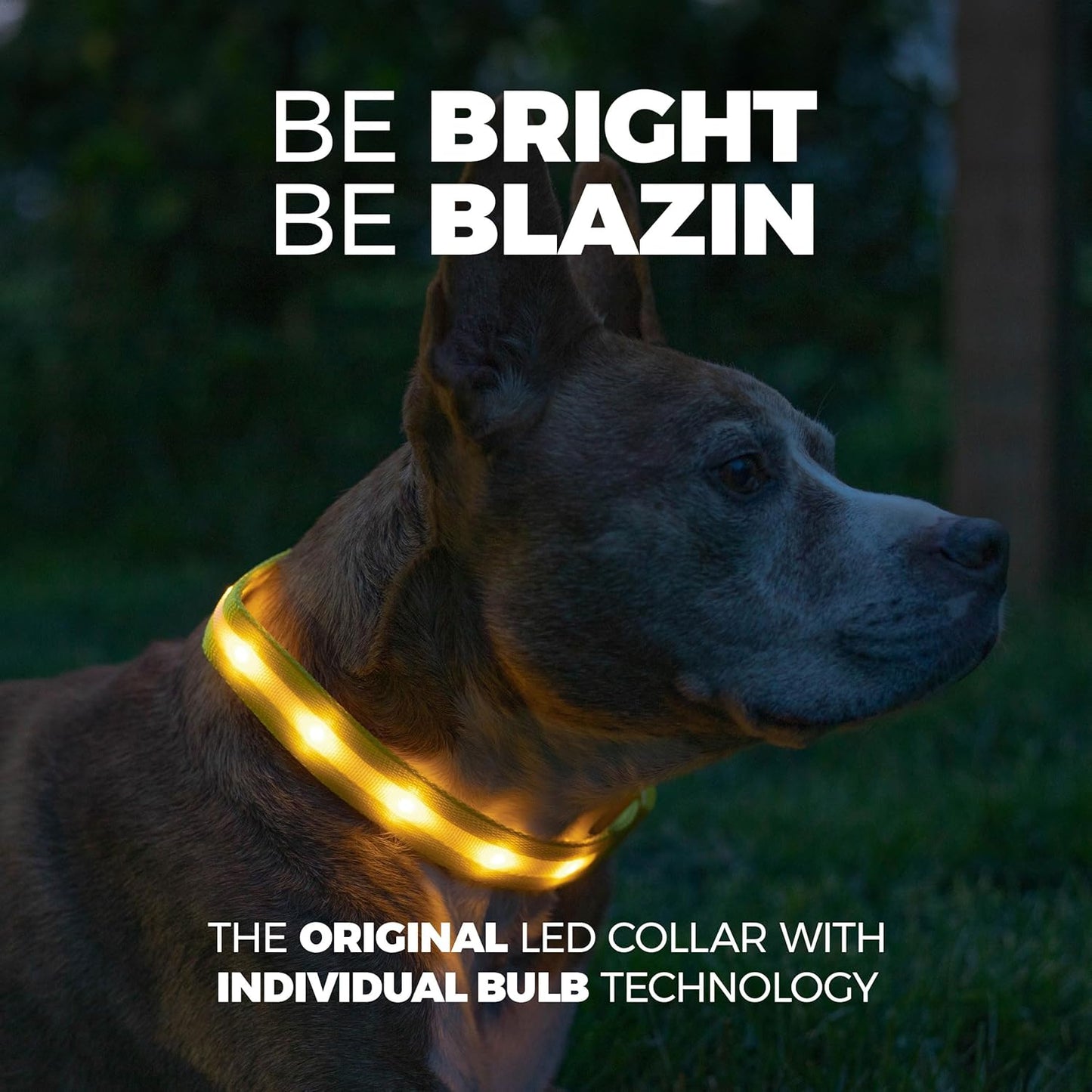 Illuminate Your Pup's Adventures: The Ultimate USB Rechargeable LED Dog Collar - Waterproof, 1,000 Feet Visibility for All Sizes of Dogs - USA Made!