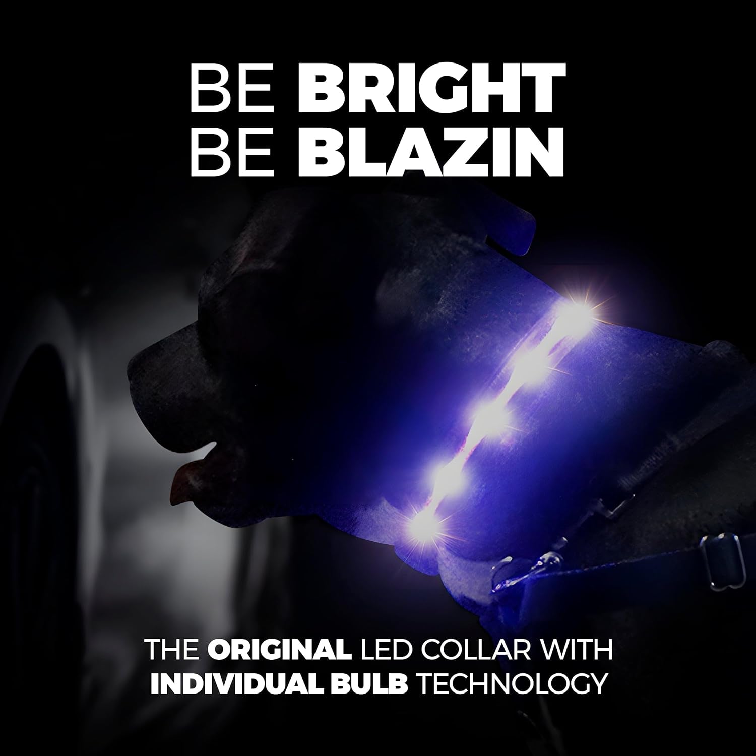 Illuminate Your Dog's Adventures: The Ultimate LED Dog Collar - USB Rechargeable, Waterproof, and 1,000 Feet of Visibility for All Breeds