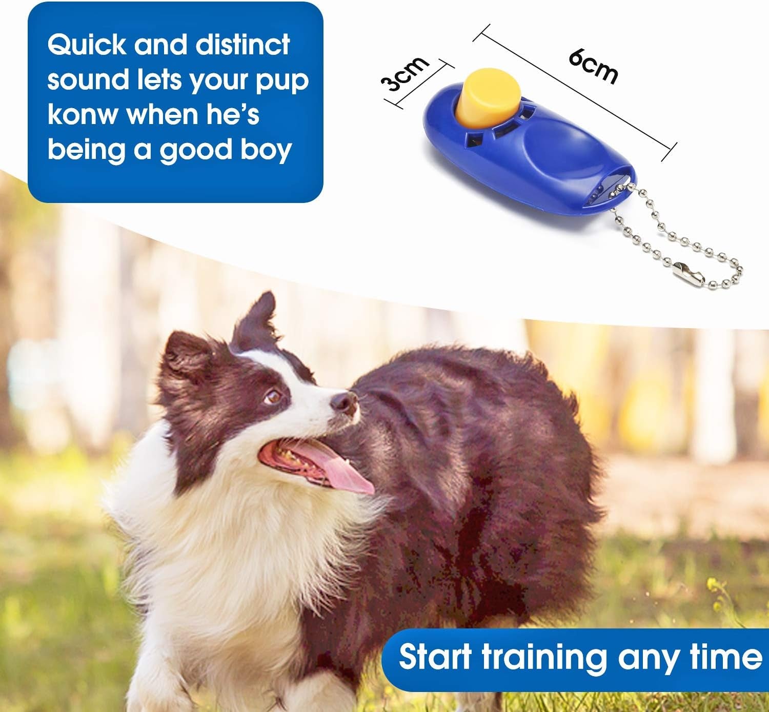 Unlock the Freedom to Train Your Dog with Our 50 Ft Versatile Leash & Clickers – Ideal for All Breeds in Bold Blue!