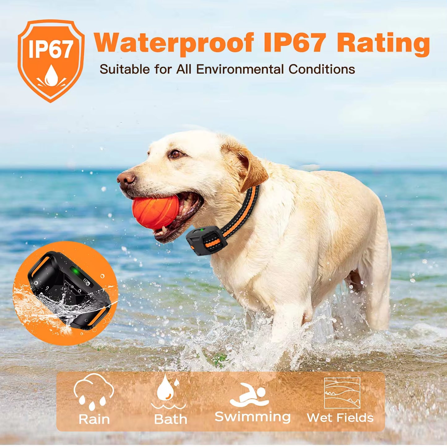 Train your pup like a pro with our waterproof electric dog training collar! Perfect for dogs 5-120lbs, featuring remote control, shock, and vibration options! 🐶✨