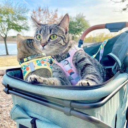 Strolee Luxury Pet Stroller V3 - Your Ultimate Travel Companion for Pets and Shopping!