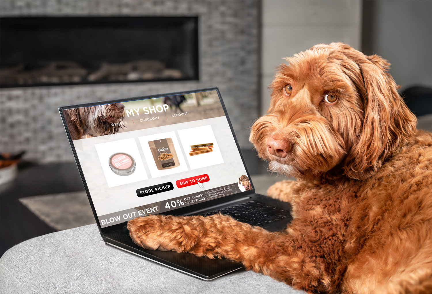 Dog interacting with a laptop displaying a pet store website.